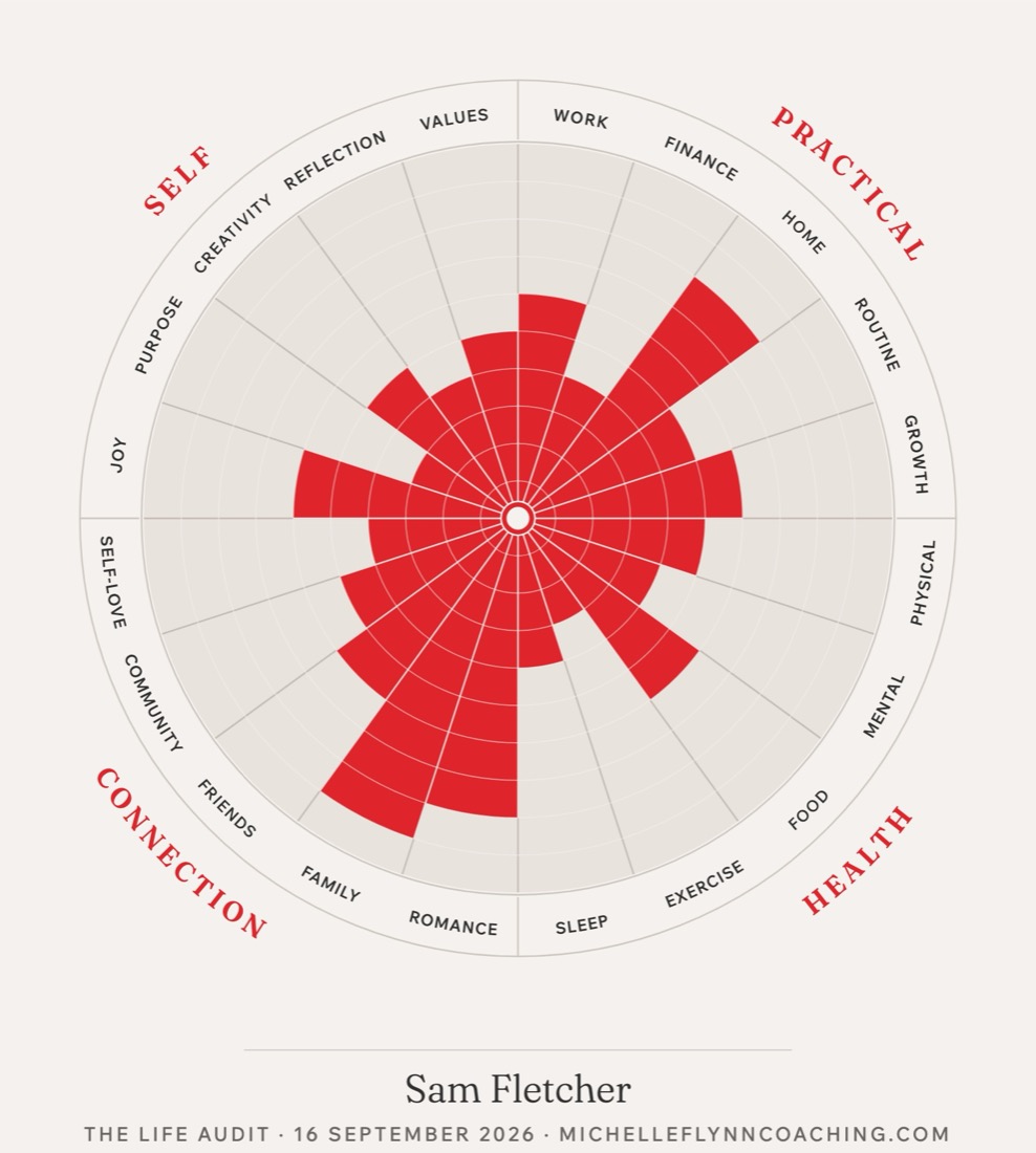 The new Life Audit result: a wheel of 20 red segments filled from the centre, drawn in Michelle Flynn’s brand.